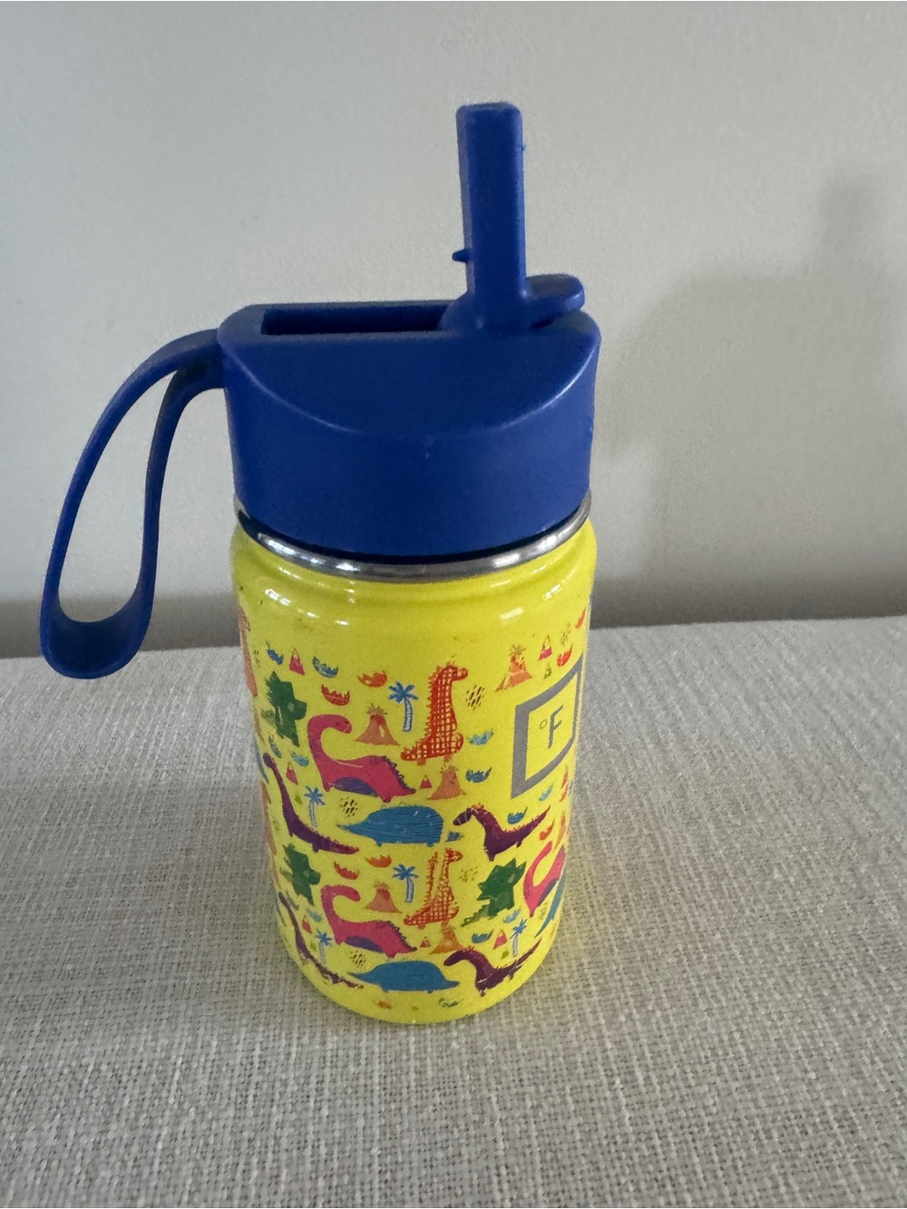 10oz stainless steel kids water bottle -Iron Flask Kids dino